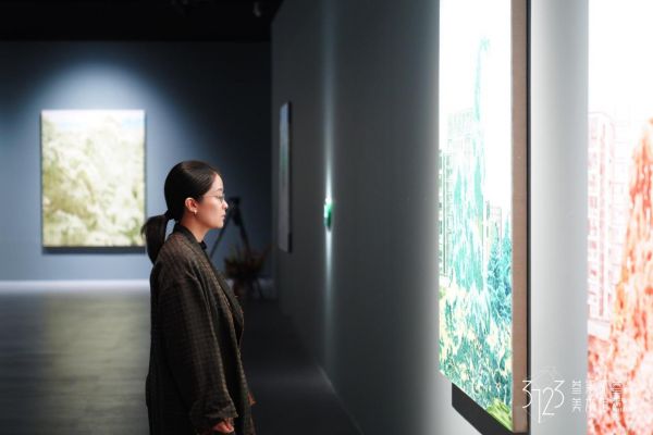 盖亚——王海龙个展 在上海叁柒贰叁美术馆开幕 