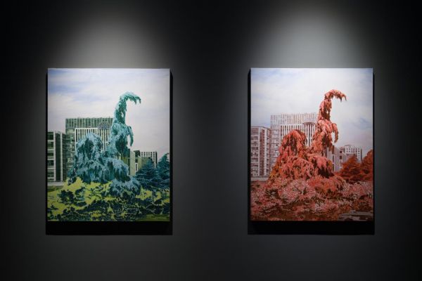 盖亚——王海龙个展 在上海叁柒贰叁美术馆开幕 