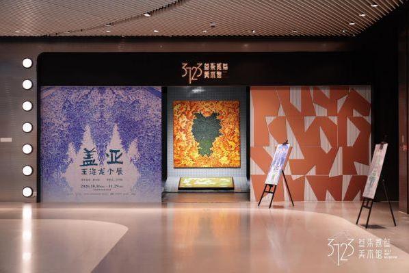 盖亚——王海龙个展 在上海叁柒贰叁美术馆开幕 