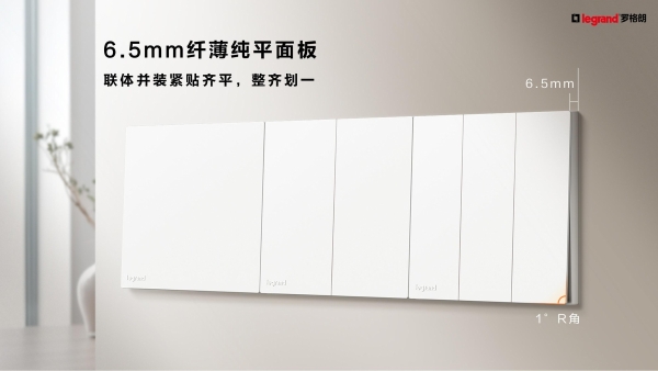 罗格朗助力新皇岗口岸打造国家级智慧口岸标杆！