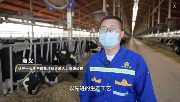 山海携手育新机 黑土乳业焕新颜｜认养一头牛深耕吉林赋能产业振兴