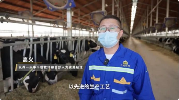 浙吉双向赋能 产业深耕黑土 认养一头牛助力吉林乳业高质量发展