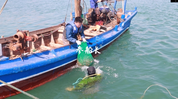 实探大连瓦房店：参船长的自有海域长什么样？