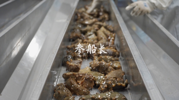 实探大连瓦房店：参船长的自有海域长什么样？