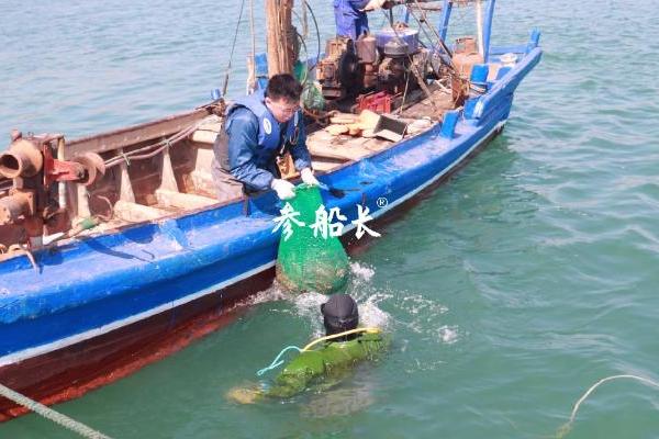 实探大连瓦房店：参船长的自有海域长什么样？