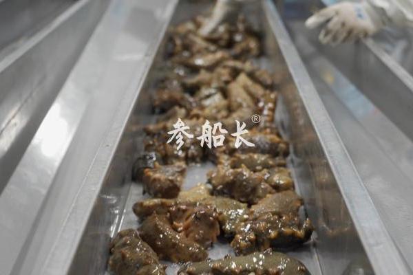 实探大连瓦房店：参船长的自有海域长什么样？