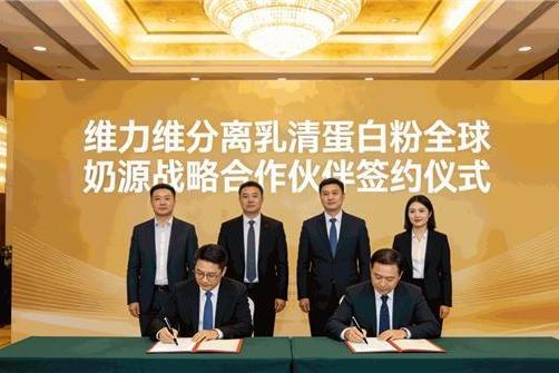 分离乳清和浓缩乳清怎么选？主流品牌产品差异分析