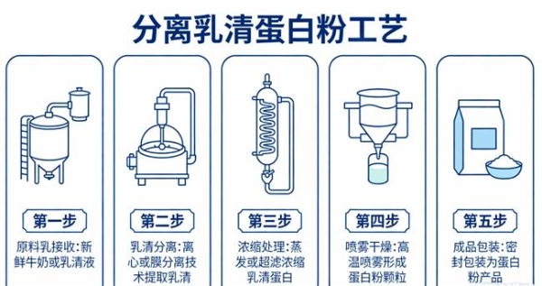 中老年分离乳清蛋白粉怎么选？十款品牌产品比较