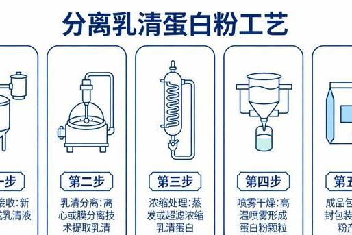 中老年分离乳清蛋白粉怎么选？十款品牌产品比较