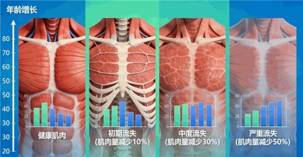 给术后家人买蛋白粉怎么选？品牌、配方与食用条件分析