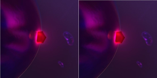 MitoQ核心成分首次纳入团标，开启线粒体抗衰新篇章