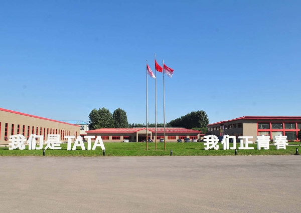 标准铸安心，交付见底气，TATA木门以标准化服务筑牢焕新信任 