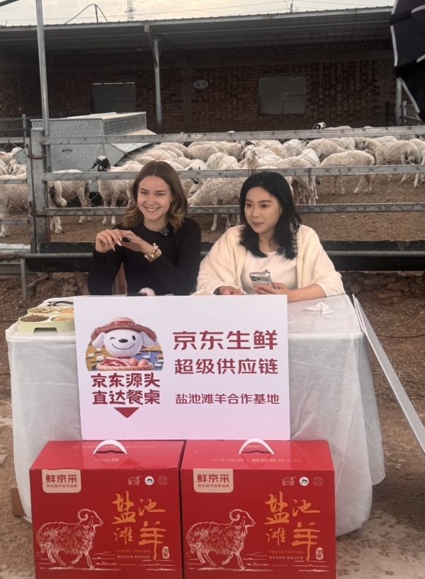 “京东开羊季”收官！三年10万只地标好羊包销定养，助力牧民稳增收