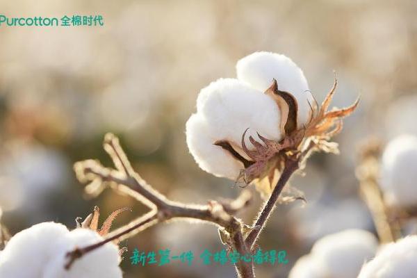 央视新闻探访全棉时代，用“三层安心”见证全棉婴童衣物的品质标准