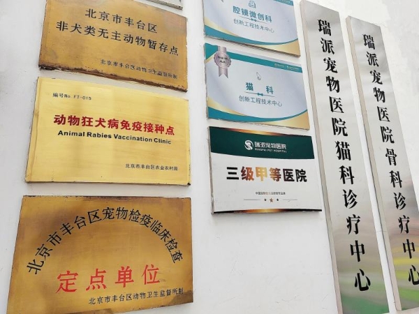 对话瑞派宠物医生：十六年守护，给老年宠物被医治的“福气”