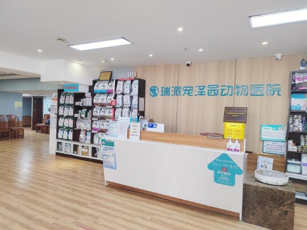 对话瑞派宠物医生：十六年守护，给老年宠物被医治的“福气”