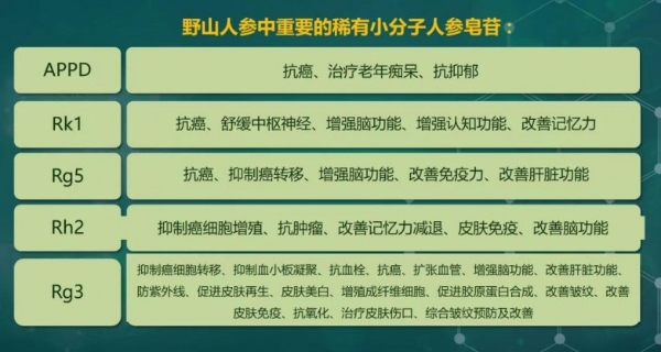 植物干细胞人参组培不定根饮品 药食同源 新资源型食品