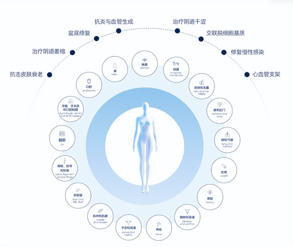 从164.88°到28型生命版图：锦波生物金奖背后的结构科学