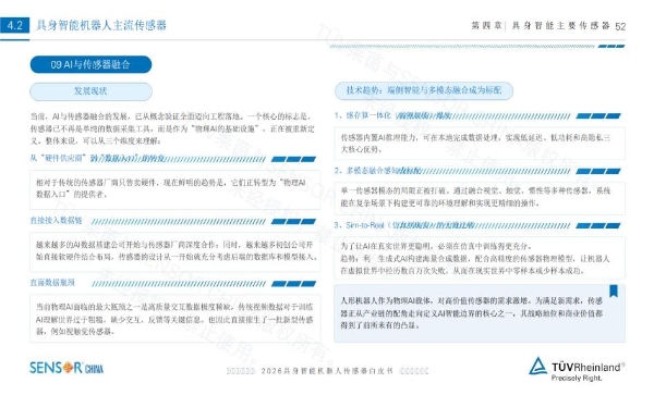 特斯拉加码机器人触觉，DeepSkin厚积十年，剑指薄膜式触觉新赛道