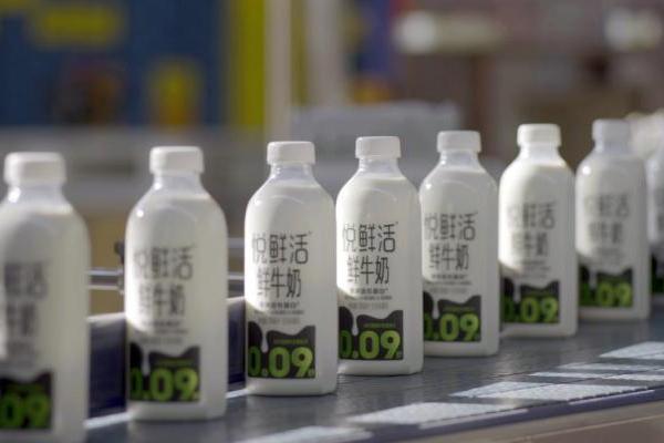 中国乳业的“新出海”，凤凰卫视《金石财经》对话君乐宝魏立华
