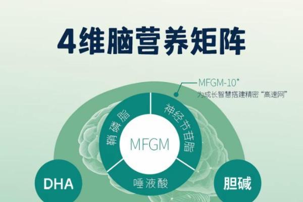 聚势母婴渠道，深耕学龄期营养：High&GoGo Smart有机儿童成长奶粉新品发布会圆满举行 