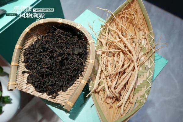 乐优康·风物溯源-乡村振兴成果展暨植物浓缩液新品发布会圆满举行