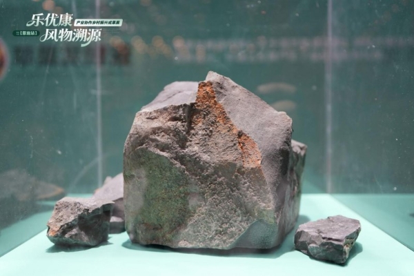 乐优康·风物溯源-乡村振兴成果展暨植物浓缩液新品发布会圆满举行