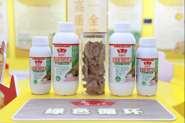 鲁花花生肽肥：赋能河套平原葵花亩产增产超三成 