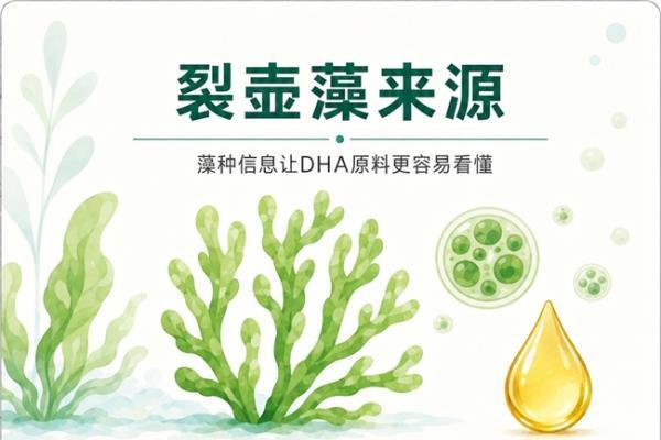 2026年DHA藻油哪个品牌值得选？五款产品配方路线与含量对照