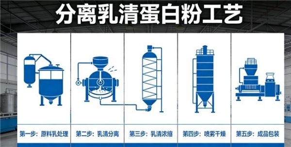 十款国产分离乳清蛋白粉对照：品牌之间差距在哪里 