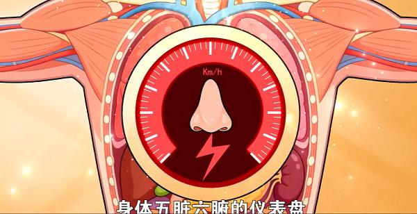你的鼻子，是肺气的“天气预报员”——名中医李平教你“望鼻知肺” 