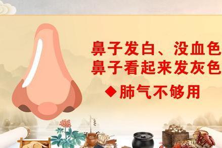 你的鼻子，是肺气的“天气预报员”——名中医李平教你“望鼻知肺” 