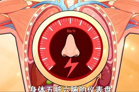 你的鼻子，是肺气的“天气预报员”——名中医李平教你“望鼻知肺” 