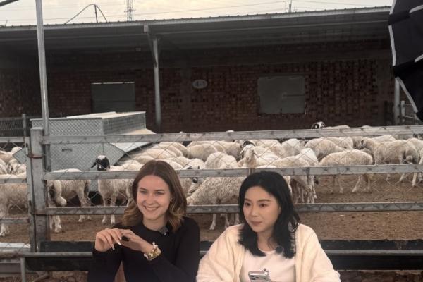 “京东开羊季”收官！三年10万只地标好羊包销定养，助力牧民稳增收