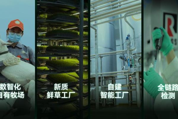 一杯好羊奶如何守住“入口关”？盛健羊乳联合创始人张昊宇分享源头与消费端双重责任！