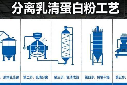 十款国产分离乳清蛋白粉对照：品牌之间差距在哪里 