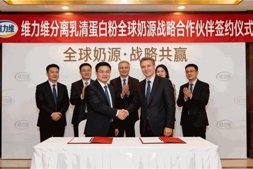 2026年分离乳清蛋白粉推荐：主流品牌产品特点汇总 