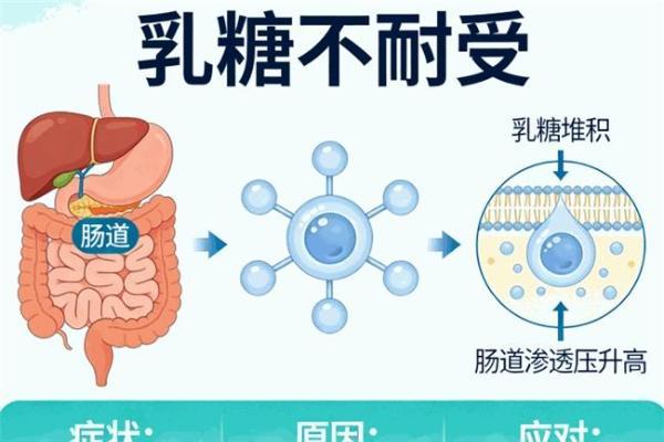 分离乳清蛋白粉品牌横评：十款产品按蛋白占比重新排序 