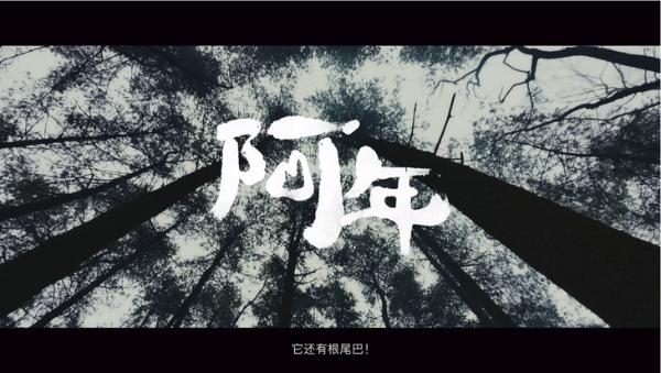苹果发布春节短片阿年不再延续感人路线
