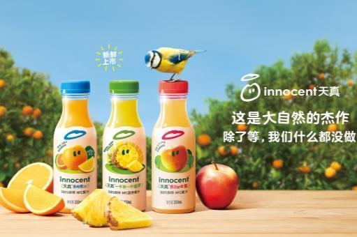 世上菠萝千千万，为什么innocent天真偏偏挑中它
