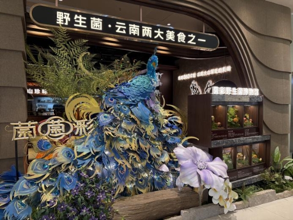 菌彩·云南野生菌火锅领鲜“出滇记”——五一双店绽放，云南民族餐饮破界对话巴蜀美食之都