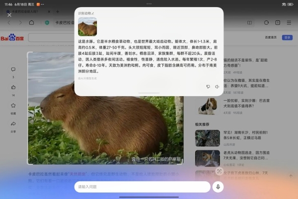 Xiaomi Pad 7S Pro评测：旗舰性能与极致轻薄兼得