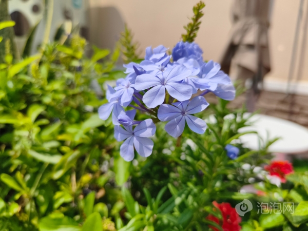 REDMI K80至尊版评测：狂暴双芯，旗舰体验全面升级