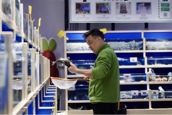 叮咚买菜发布“真安心鱼”体系：只卖放心水产