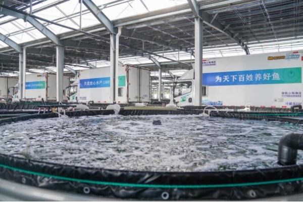 叮咚买菜发布“真安心鱼”体系：只卖放心水产