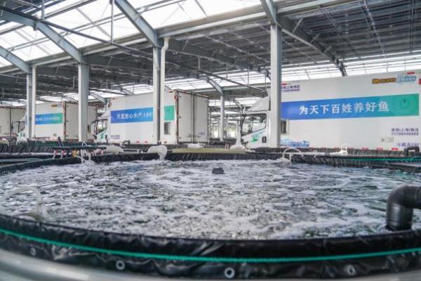 叮咚买菜发布“真安心鱼”体系：只卖放心水产