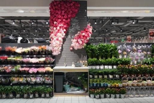 丹尼斯安阳中华店焕新迎客，逛吃氛围感拉满