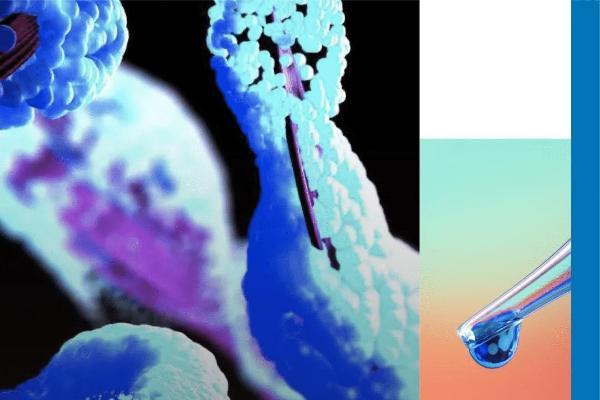 欧莱雅中国于进博会发布行业首份PDRN白皮书