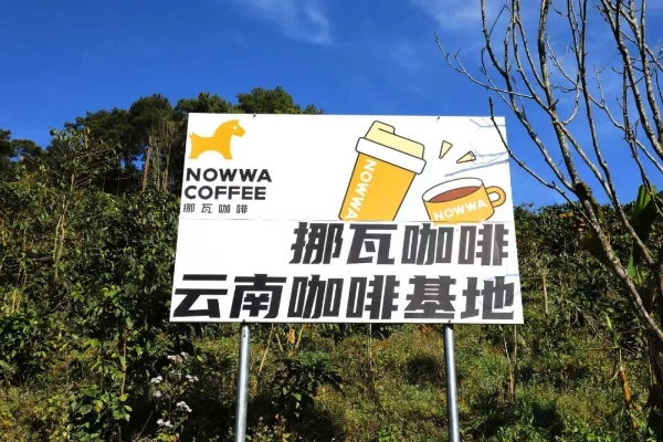 一年生意翻4倍，挪瓦咖啡为何在经销商圈内爆火？