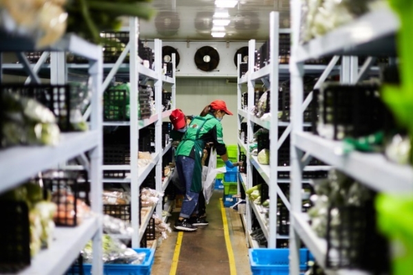 叮咚买菜在盐城开仓运营，加速布局下沉市场